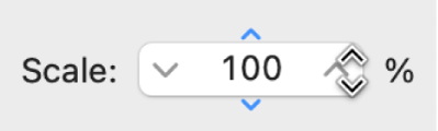 Figure. Scale parameter in the Score Set window.