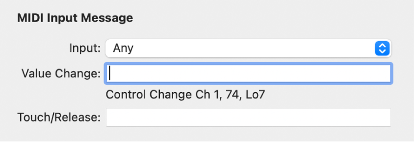 Figure. Input Message parameters in expert view mode.