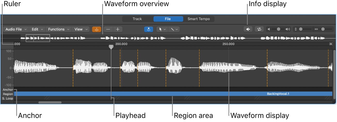 Figure. Sample Editor.