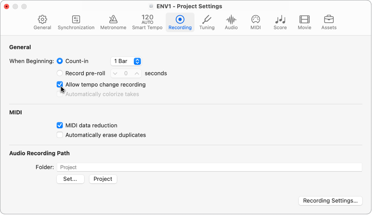 Figure. Recording project settings pane.