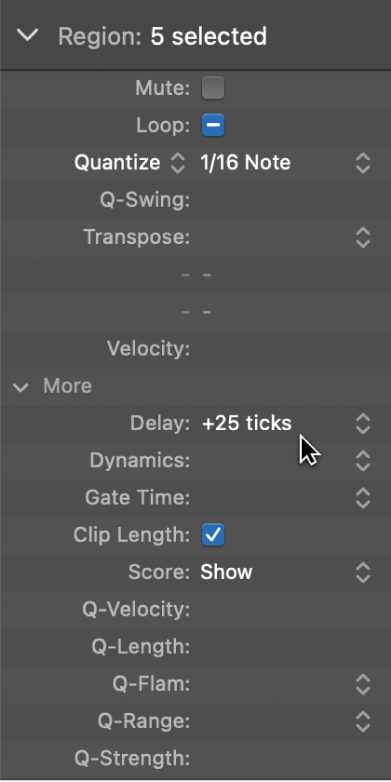 Figure. Delay parameter in the Region inspector.