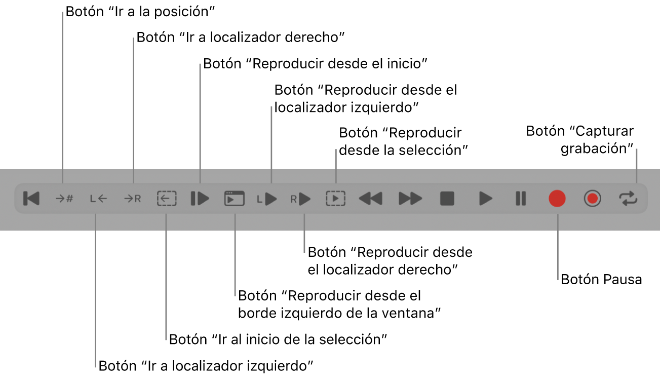 Ilustración. Botones de transporte, incluidos todos los botones adicionales.