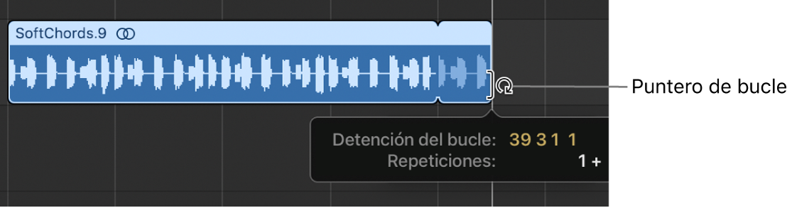 Ilustración. Se está reproduciendo un pasaje en loop en el área Pistas. La etiqueta de ayuda muestra la longitud del pasaje y el número de repeticiones.