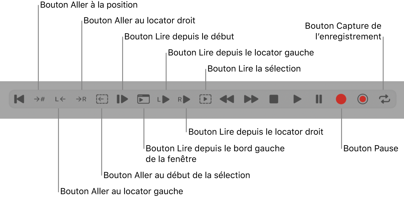 Figure. Boutons de transport, avec tous les boutons supplémentaires.