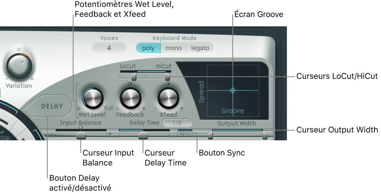 Figure. Paramètres Delay.