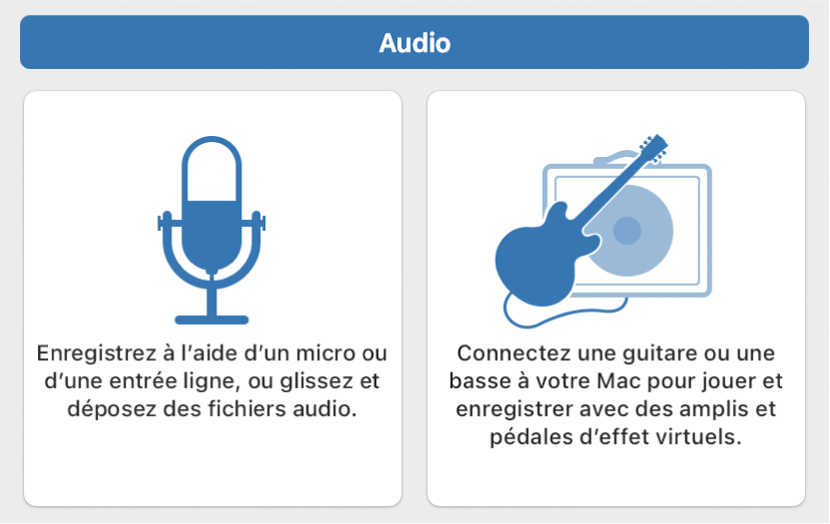 Figure. Sélection d’une icône Audio dans la zone de dialogue Nouvelles pistes.