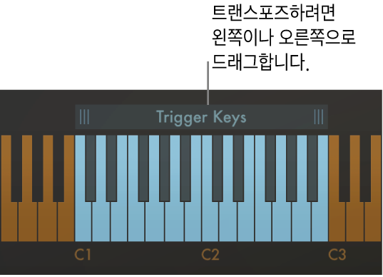 그림. 코드 트랜스포지션 동작.