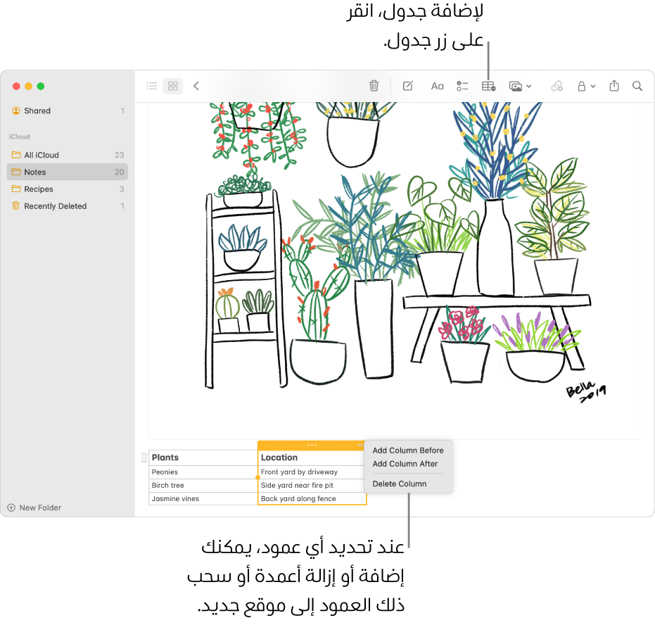 نافذة الملاحظات تعرض زر الجدول—انقر عليه لإضافة جدول. ضمن محتوى الملاحظة، يتم تحديد عمود في الجدول بحيث يمكنك إما إضافة أعمدة أو إزالتها أو سحبه إلى موقع جديد.