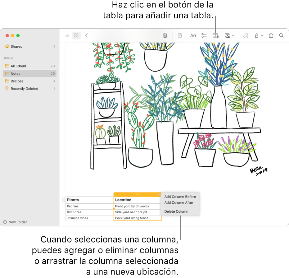 La ventana de Notas con el botón Tabla —haz clic en él para añadir una tabla. Dentro del contenido de la nota, hay una columna de la tabla seleccionada para que puedas añadir o eliminar columnas, o bien arrastrarlas hasta una nueva ubicación.