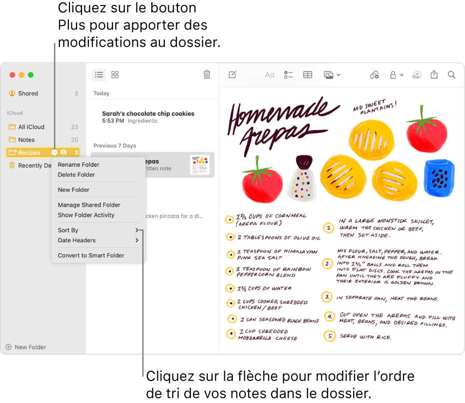 La fenêtre Notes avec un dossier dans la barre latérale affichant le bouton Plus où vous pouvez apporter des modifications à un dossier. Au-dessus de la liste de notes au centre se trouve l’option de tri, laquelle change l’ordre des notes; cliquez sur la flèche pour sélectionner un ordre de tri différent.