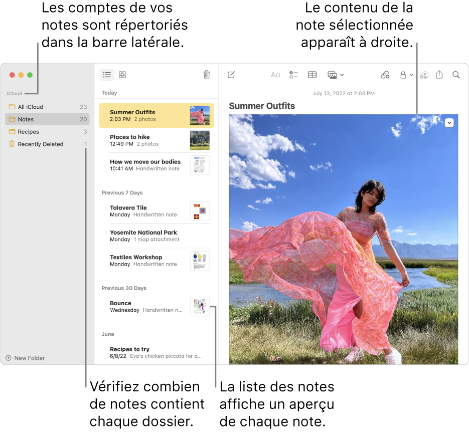 La fenêtre Notes avec tous vos comptes configurés et dossiers répertoriés dans la barre latérale sur la gauche, la liste des notes au milieu avec un aperçu de chaque note et le contenu de la note sélectionnée sur la droite. Le nombre de notes apparaît à côté de chaque dossier.