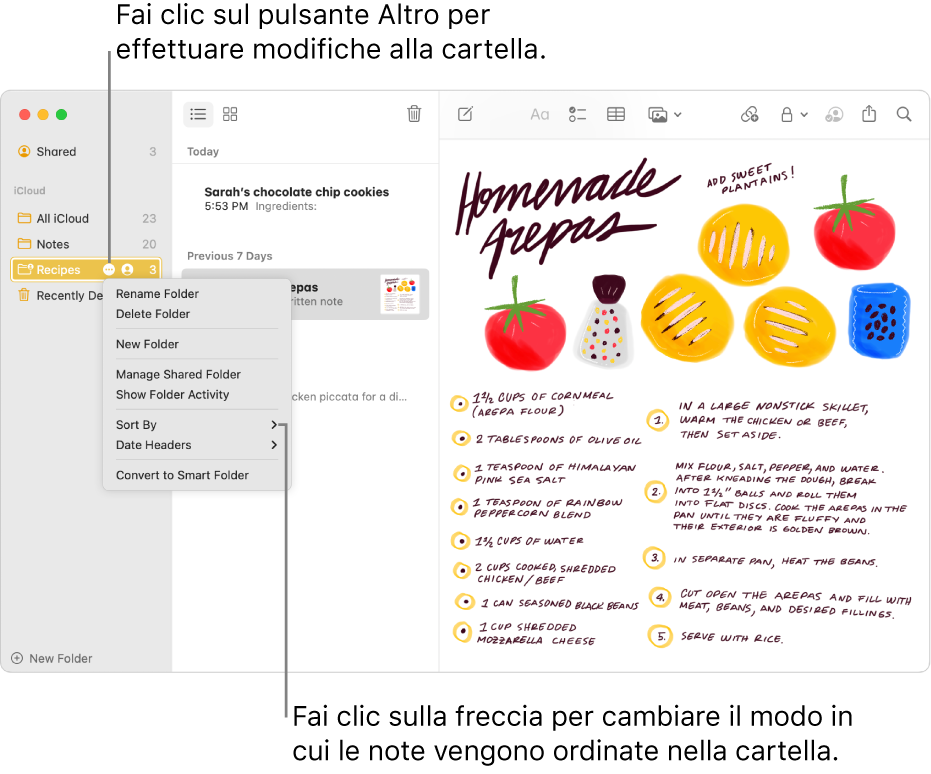 La finestra di Note con una cartella nella barra laterale che mostra il pulsante Altro dove puoi apportare modifiche a una cartella. Sopra l'elenco delle note al centro è disponibile l'opzione Ordina, che cambia l'ordine delle note. Fai clic sulla freccia per selezionare un ordinamento differente.