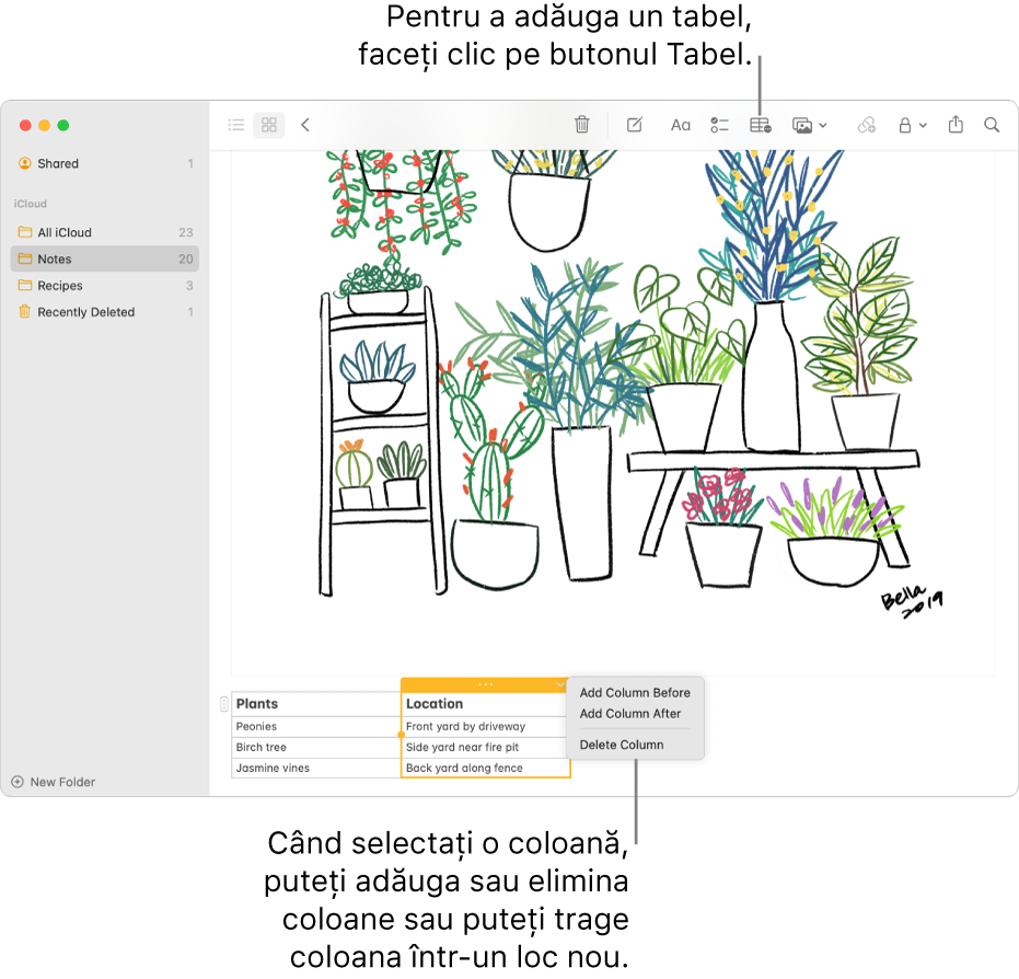 Fereastra Notițe afișând butonul Tabel – faceți clic pe acesta pentru a adăuga un tabel. În conținutul notiței, o coloană de tabel este selectată pentru a putea să adăugați sau să eliminați coloane sau să o trageți într-un alt loc.