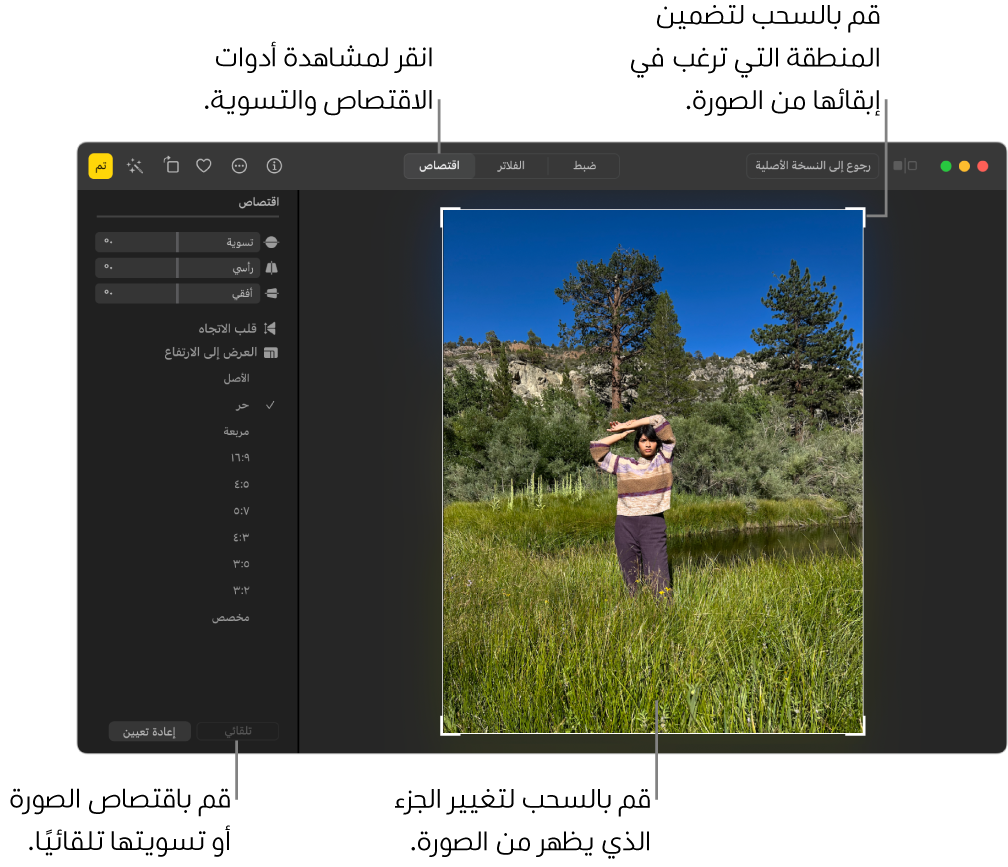 صورة في عرض التحرير، مع تحديد "اقتصاص" في شريط الأدوات، ووجود مستطيل تحديد حول الصورة وشرائح التمرير للتسوية وخيارات نسبة العرض إلى الارتفاع وأزرار تلقائي وإعادة التعيين على اليسار.