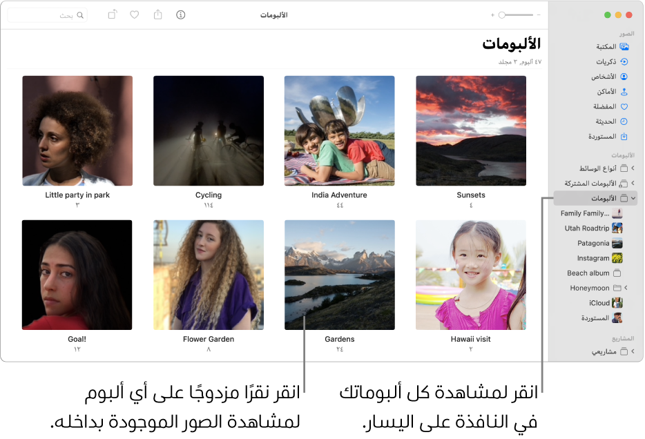 نافذة الصور مع تحديد "الألبومات" في الشريط الجانبي، وتظهر الألبومات التي قمت بإنشائها في النافذة على اليسار.