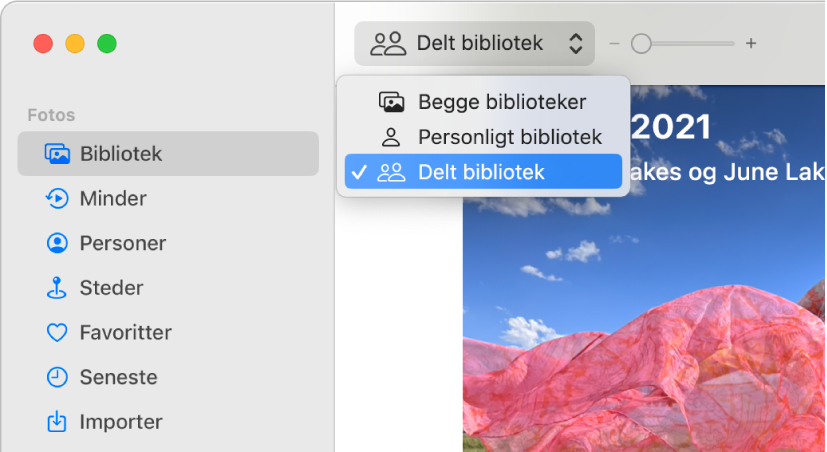 Lokalmenuen Bibliotek på værktøjslinjen med indstillingen Delt bibliotek.