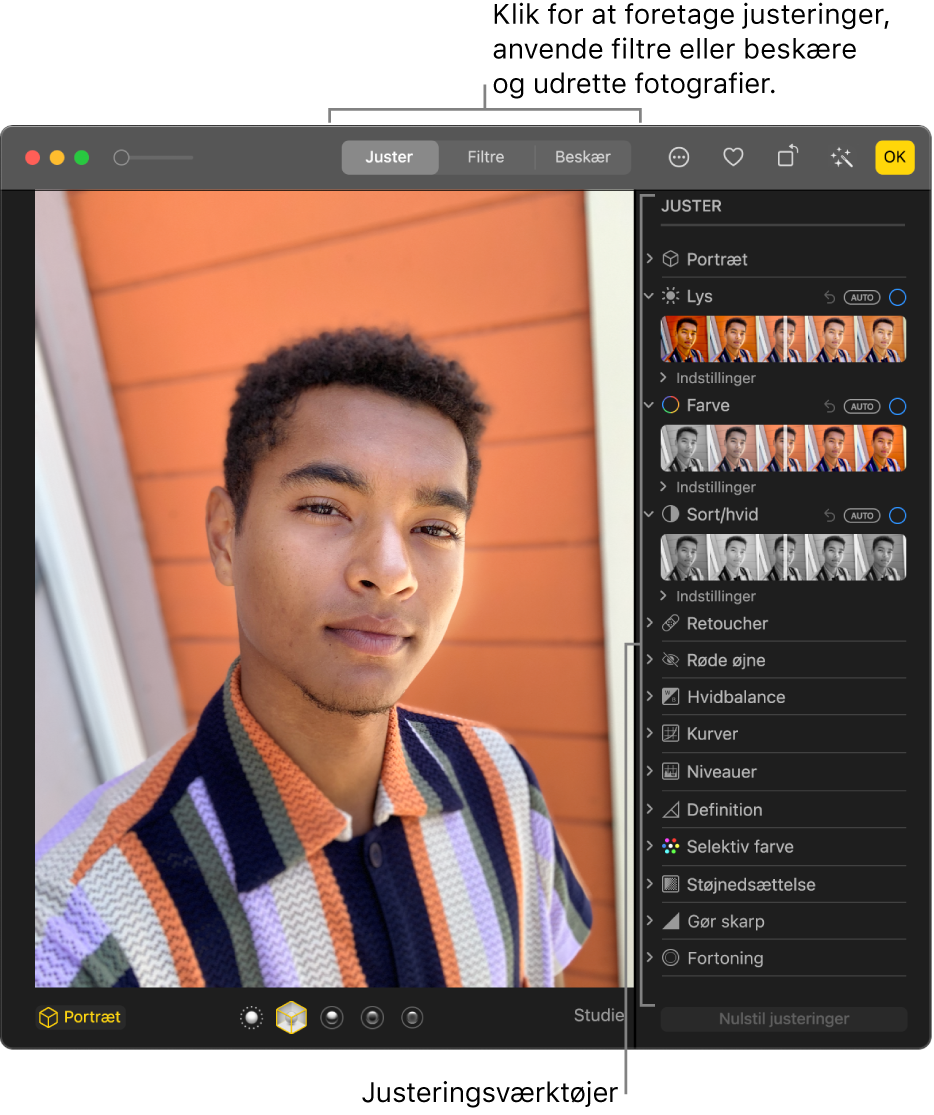 Et foto i redigeringsoversigt med Juster valgt på værktøjslinjen og justeringsværktøjer til højre.