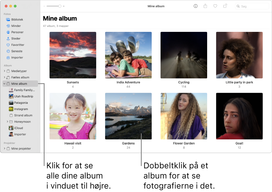 Vinduet Fotos, der viser Dage valgt på værktøjslinjen og fotos organiseret efter et datoudsnit i vinduets hovedområde.