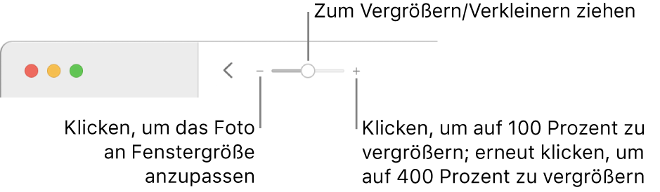 Die Symbolleiste mit den Zoomsteuerungen.