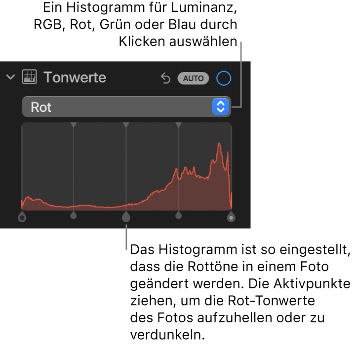 Die Steuerungen „Tonwerte“ im Bereich „Anpassen“ mit dem Histogramm „Rot“ und Aktivpunkten unten, um den Rotwert eines Fotos anzupassen.