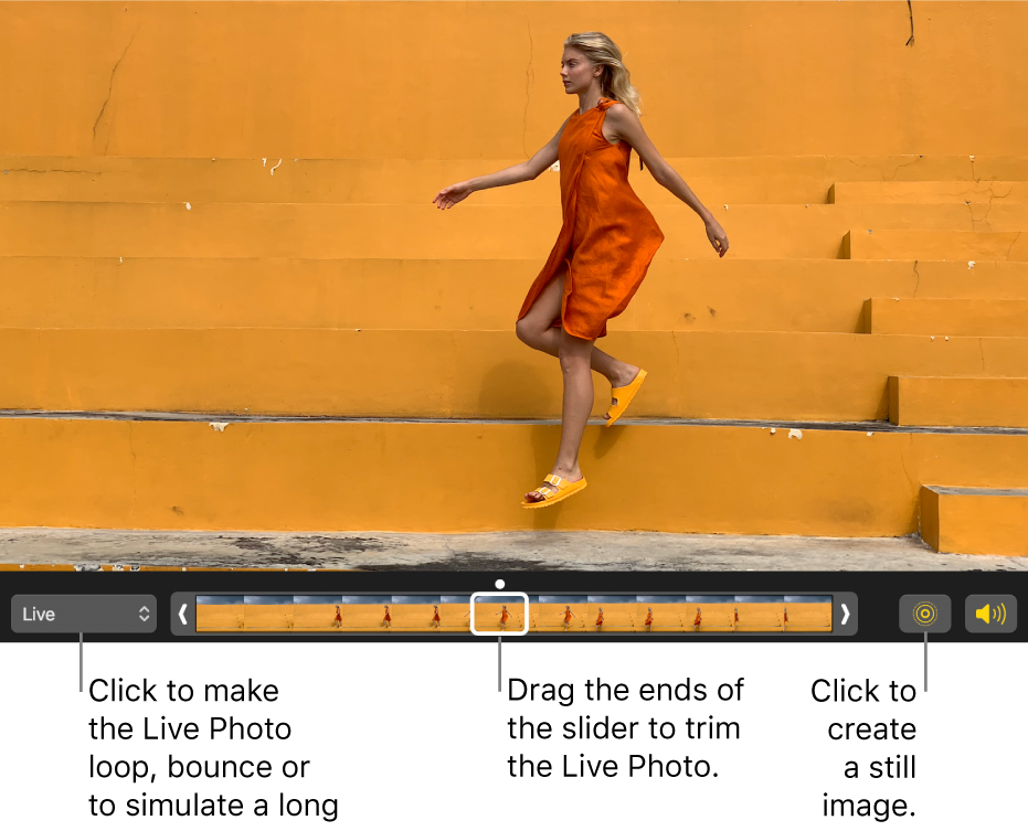 A Live Photo in editing view with a slider beneath it showing the frames of the photo. The Live Photo button and Speaker button are to the left of the slider, and to the right is a pop-up menu you can use to add a loop, bounce, or long exposure effect.