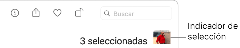 Un indicador de la selección mostrando tres fotos seleccionadas.