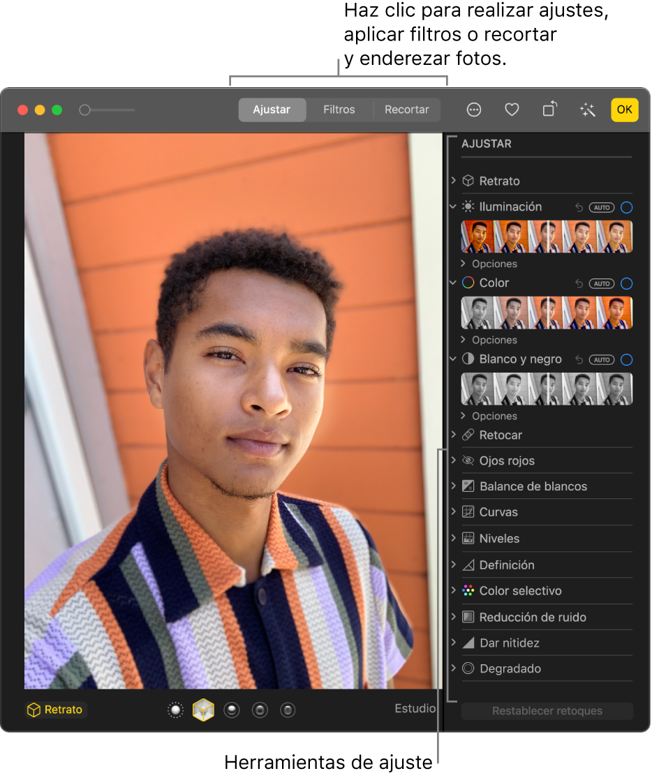 Una foto en la vista de edición con la opción Ajustar seleccionada en la barra de herramientas a la derecha.