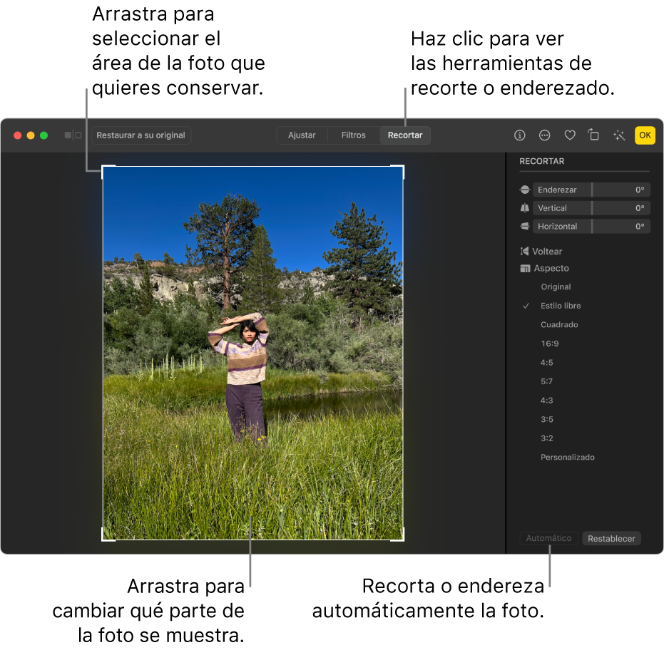 Una foto en la vista de edición con la herramienta Recortar en la barra de herramientas, un rectángulo de selección alrededor de la foto, reguladores de enderezamiento, opciones de proporciones y los botones Automático y Restablecer a la derecha.