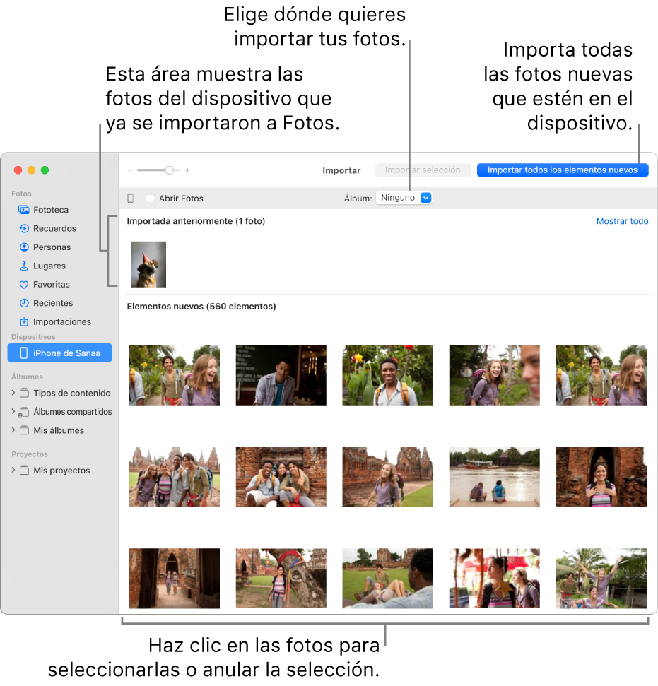 Las fotos en el dispositivo que ya importaste se muestran en la parte superior de la ventana Importar; las fotos nuevas se muestran en la parte inferior. En parte central superior se encuentra el menú desplegable Álbum. El botón Importar todos los elementos nuevos se encuentra en la parte superior derecha.