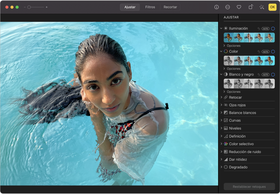 Una foto en la vista de edición con la opción Ajustar seleccionada en la barra de herramientas a la derecha.