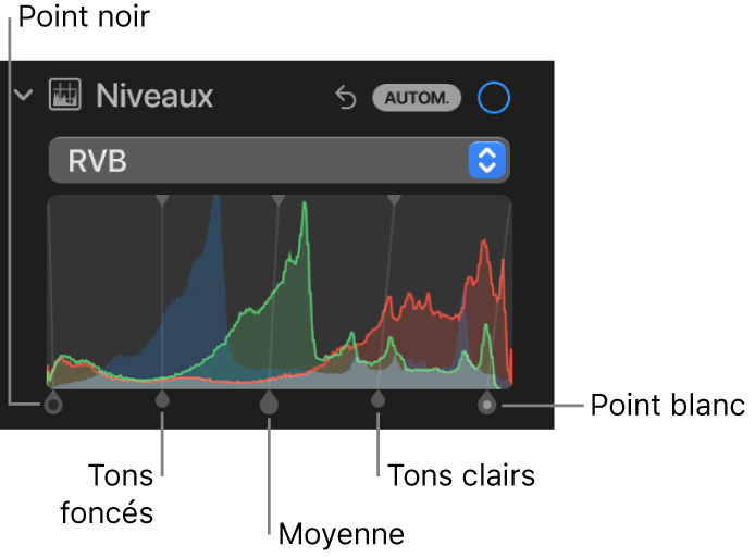 Les commandes de niveaux dans la sous-fenêtre Ajuster, montrant l’histogramme RVB au-dessus de poignées, notamment (de gauche à droite) point noir, ombres, tons intermédiaires, tons clairs et point blanc.