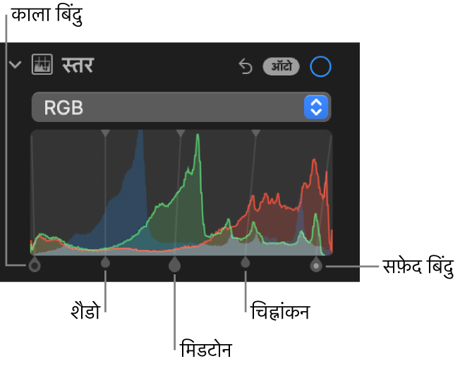 ब्लैक पॉइंट, शैडो, मिडटोन, चिह्नांकन और ह्वाइट पॉइंट (बाएँ से दाएँ) सहित नीचे की ओर दिया गया हैंडल वाला RGB हिस्टोग्राम दिखाता ऐडजस्ट करें पेन में स्तर नियंत्रण।