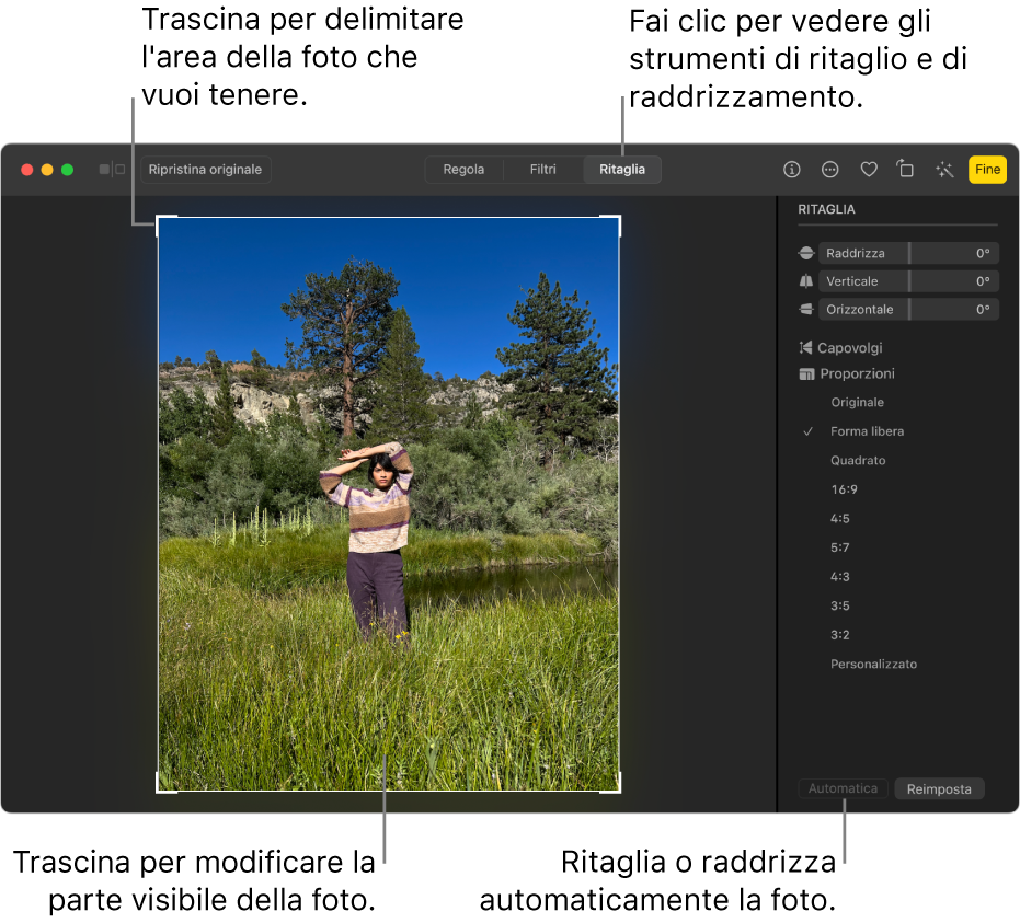 Una foto nella vista di modifica, con l'opzione Ritaglia selezione nella barra degli strumenti, un rettangolo di selezione attorno alla foto e i cursori di raddrizzamento, le opzioni delle proporzioni e i pulsanti Automatico e Ripristina a destra.