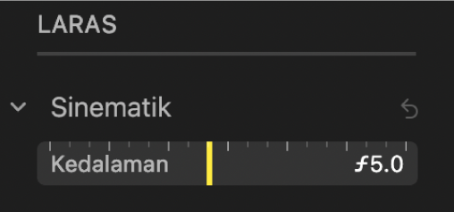 Kawalan pelarasan Sinematik menunjukkan gelangsar Kedalaman.