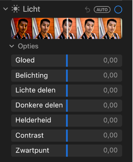Het gedeelte 'Licht' van het paneel 'Pas aan' met schuifknoppen voor 'Gloed', 'Belichting', 'Lichte delen', 'Donkere delen', 'Contrast' en 'Zwartpunt'.