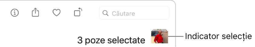 Indicator de selecție indicând trei poze selectate.