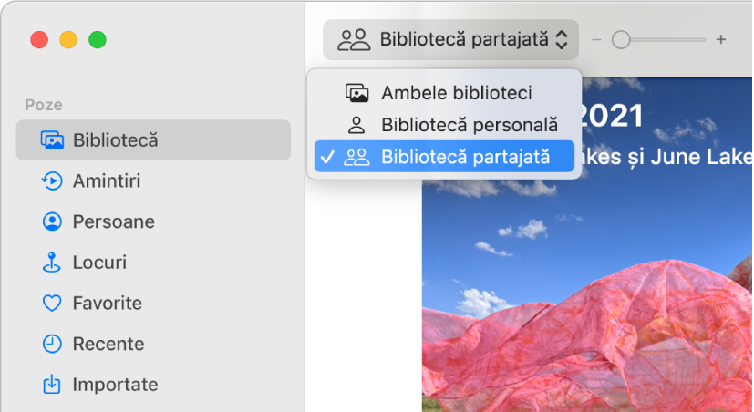 Meniul pop‑up Bibliotecă din bara de instrumente configurat la Bibliotecă partajată.