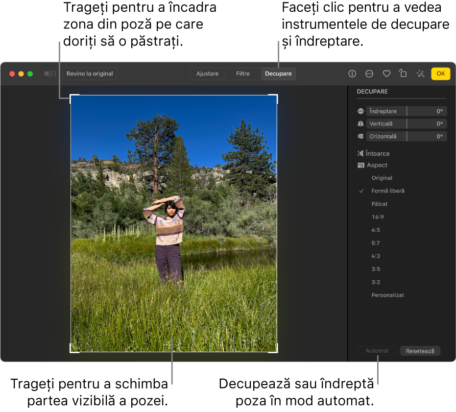 O poză în vizualizarea de editare, cu butonul Decupare selectat în bara de instrumente, un dreptunghi de selecție în jurul pozei și glisoarele de îndreptare, opțiunile pentru raportul de aspect și butoanele Automat și Resetează în partea din dreapta.