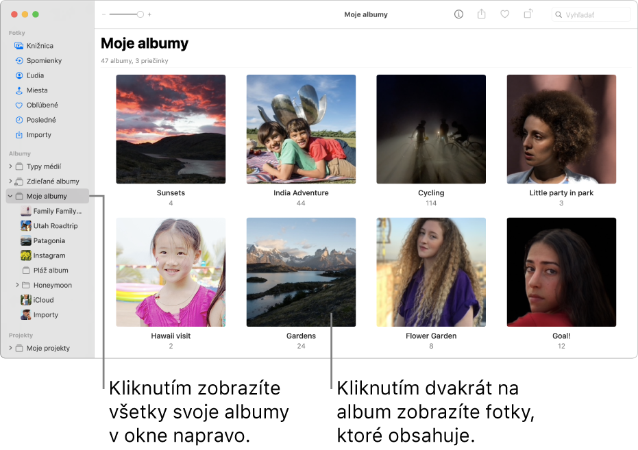 Okno aplikácie Fotky, kde je priečinok Moje albumy označený v postrannom paneli a albumy, ktoré ste vytvorili, sú zobrazené v okne na pravej strane.