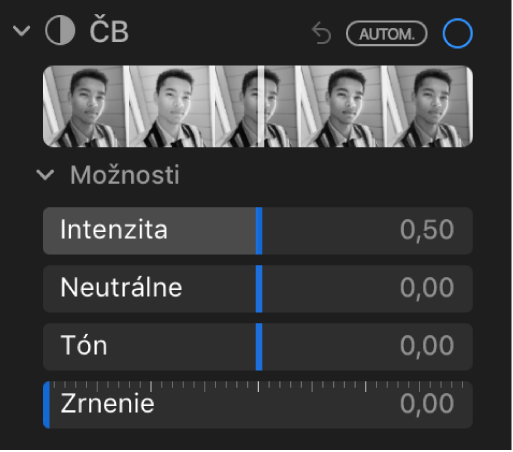 Oblasť ČB na paneli Úpravy zobrazujúca posuvníky pre nastavenia Intenzita, Neutrálne, Tón a Zrnenie.