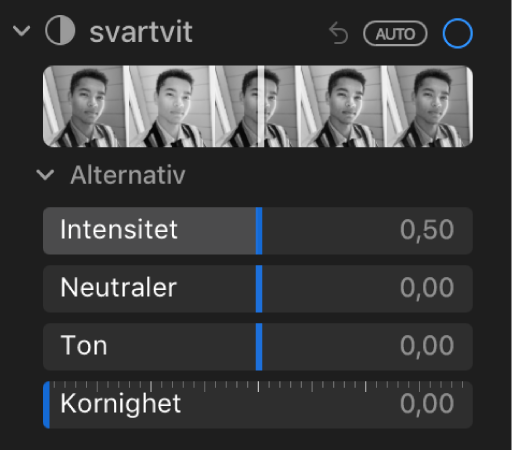 Området Svartvit på panelen Justering med reglage för intensitet, neutraler, ton och kornighet.