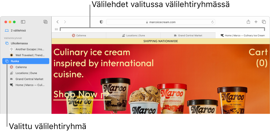 Safari-ikkuna, jonka sivupalkissa näkyy välilehtiryhmä valittuna.