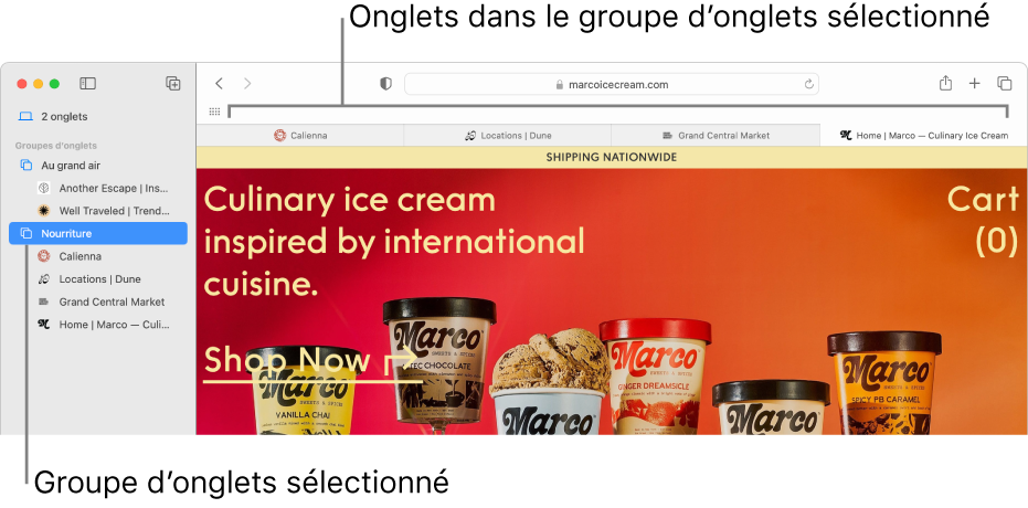 Fenêtre Safari affichant la barre latérale avec un groupe d’onglets sélectionné.