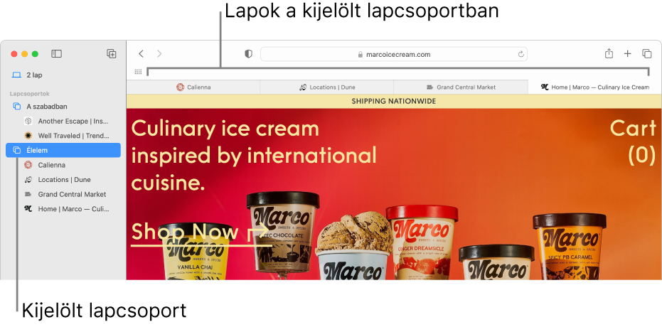 Egy Safari-ablak az oldalsávval és egy kijelölt lapcsoporttal.