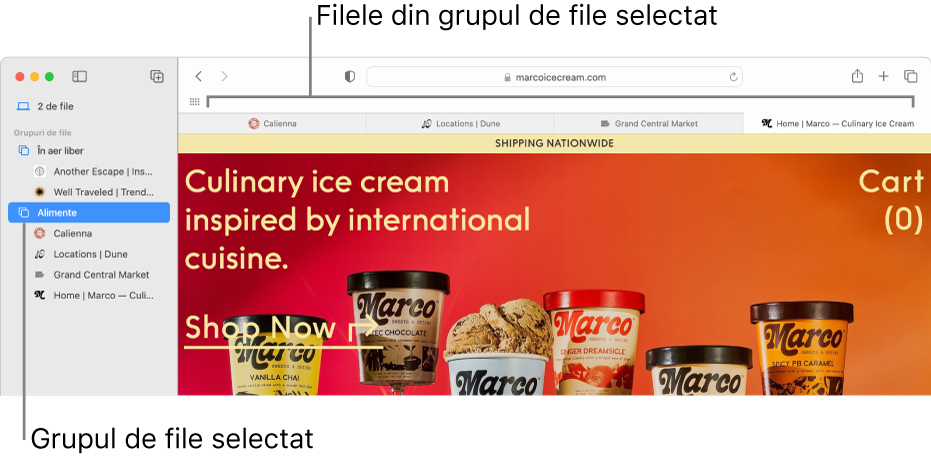 O fereastră Safari care afișează bara laterală cu un grup de file selectat.