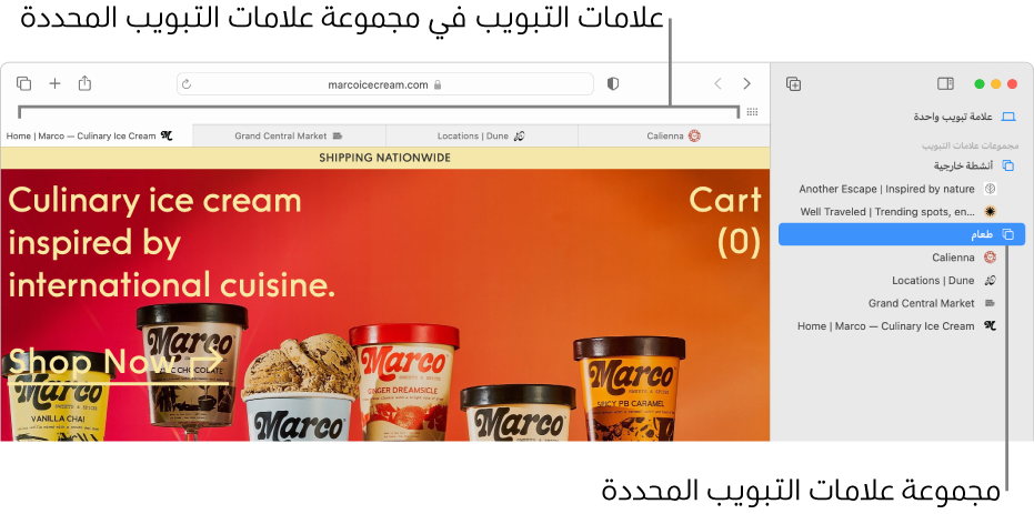 نافذة سفاري تعرض الشريط الجانبي مع تحديد مجموعة علامات تبويب.