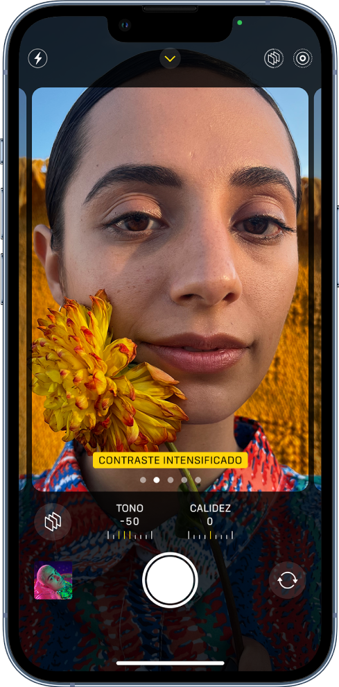 Cámara está abierta y la pantalla muestra la ventana de estilo fotográfico. En la esquina superior izquierda de la pantalla se encuentra el botón Flash. En la parte superior central de la pantalla está el botón Controles de la cámara, el cual está activado. En la esquina superior derecha están los botones Estilos fotográficos activados y Live Photo. El estilo Contraste intensificado está en el visor de la cámara, llenando la pantalla de la cámara. Debajo del visor de la cámara está el botón Estilos, los reguladores para ajustar los valores de tono y calidez, y el botón para restablecer el estilo. En la parte inferior de la pantalla, de izquierda a derecha, se encuentran los botones Visor de fotos y videos, Tomar foto y Selector de cámara posterior.
