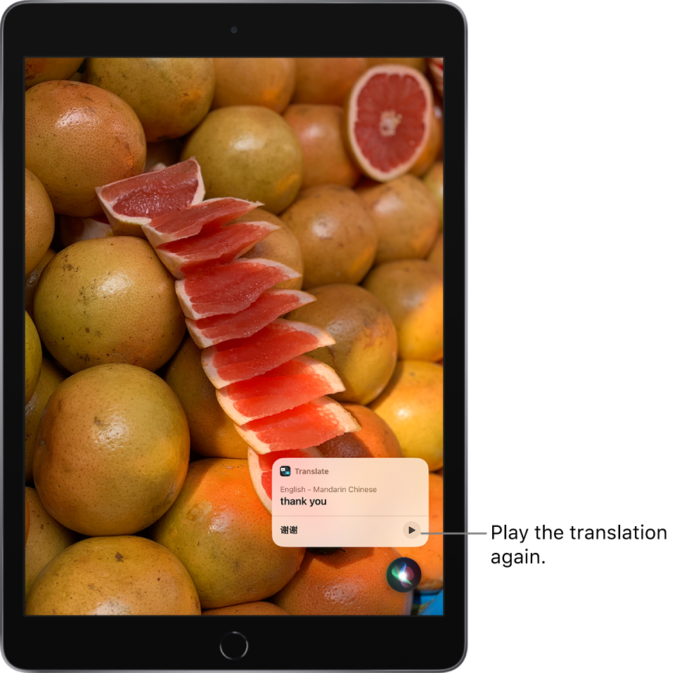 Siri displays a translation of the English phrase “thank you” into Mandarin. A button to the right of the translation replays audio of the translation.