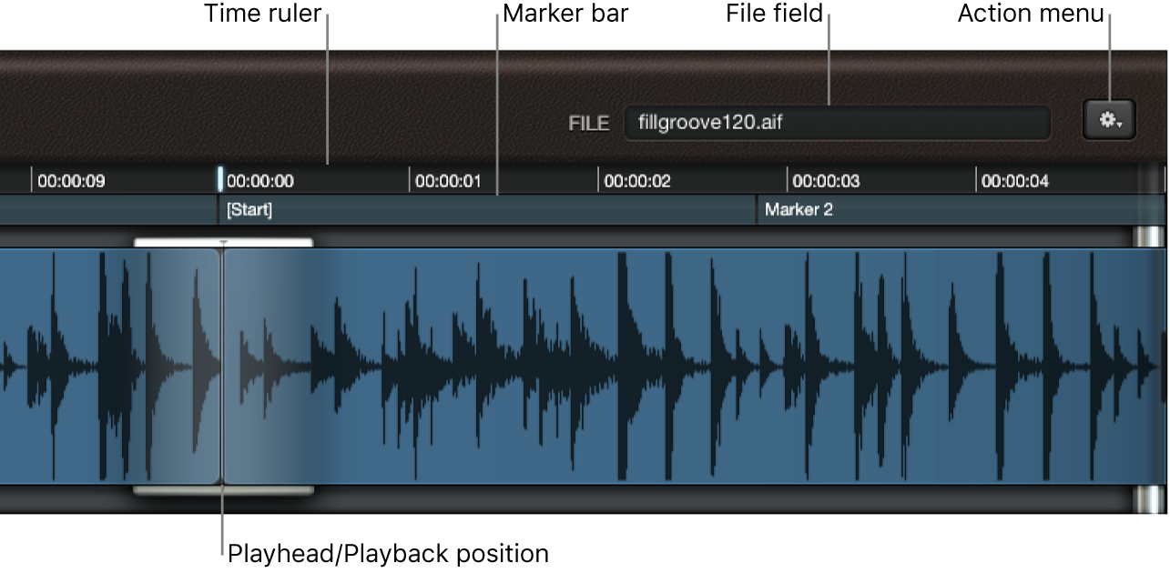 Figure. Waveform display, showing File field, ruler, and playhead.