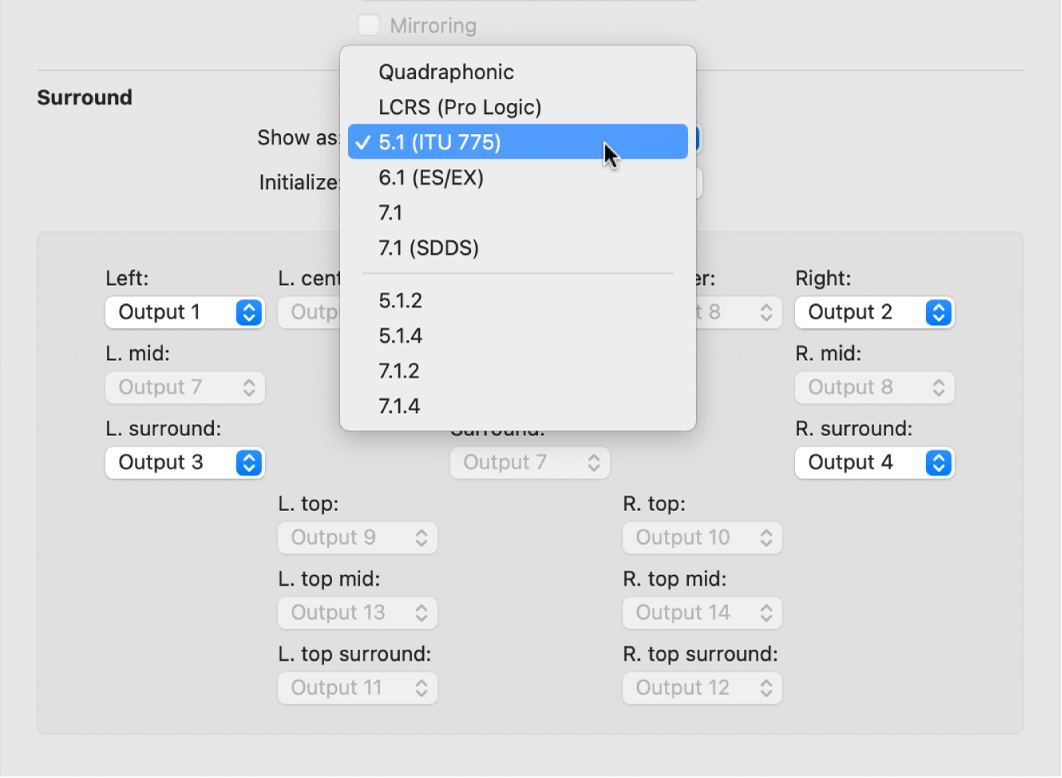 Figure. Surround settings.